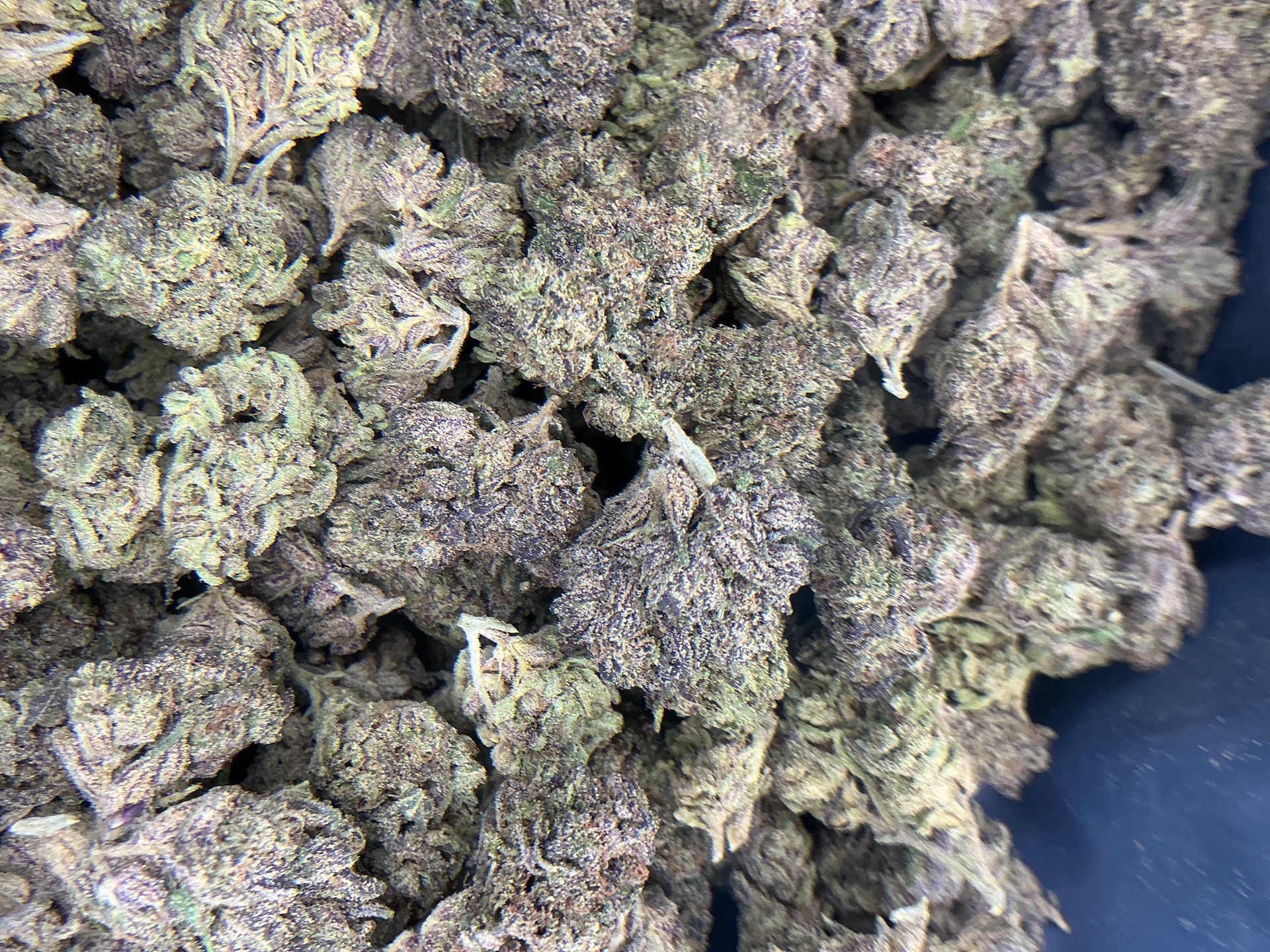 Lantz THCa Flower (Exotic) / 3.5 Grams (1/8)